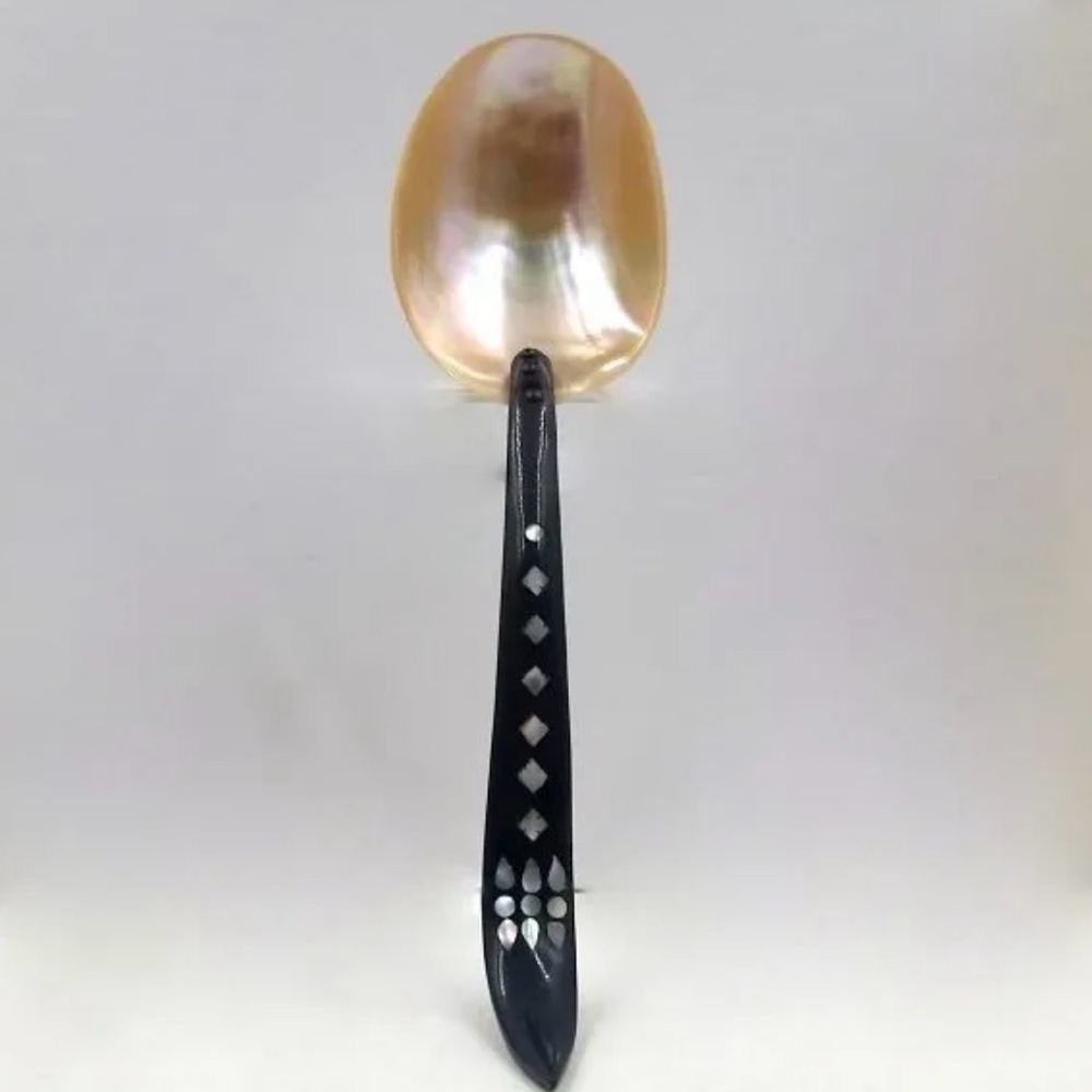 Victorian Mother of Pearl and Horn Serving Spoon.l